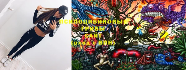 круглые Вяземский