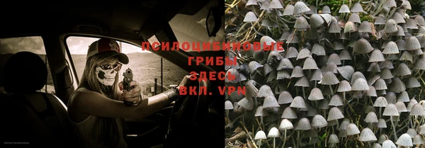 круглые Вяземский