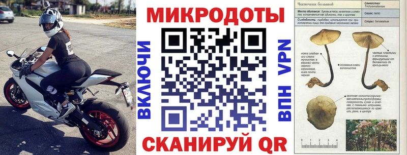 Купить  Боровичи  Галлюциногенные грибы прущие грибы 